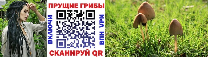Псилоцибиновые грибы MAGIC MUSHROOMS  Зима 